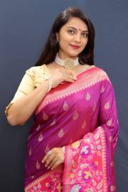 PAITHANI HOUSE  RAJ TILAK